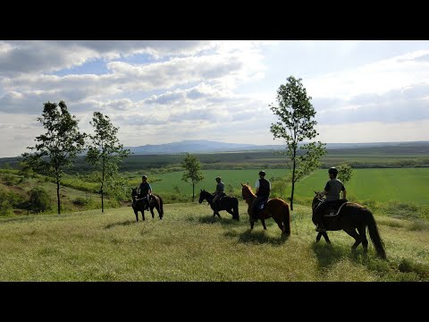 Wanderreiten in Ungarn - Teil 2 (2014)