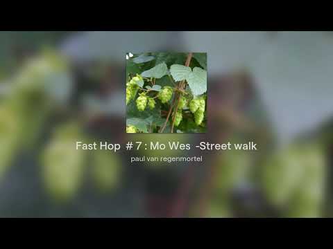 Fast Hop  # 7 : Mo Wes  -Street walk