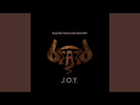 J.O.Y. (feat. Dave Gutter, Thommy Kane & Shane Reis)