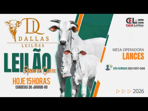 LEILÃO GADO DE CORTE DALLAS LEILÕES - Candeias do Jamari-RO | 10/03/2026
