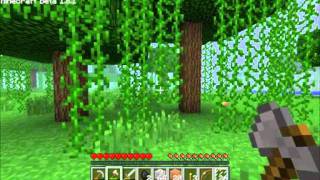 Minecraft Part 3