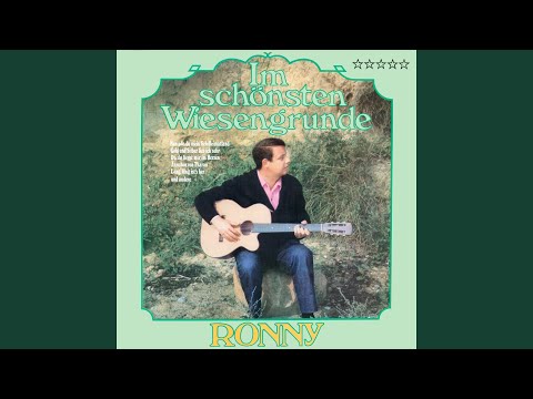 Im schönsten Wiesengrunde