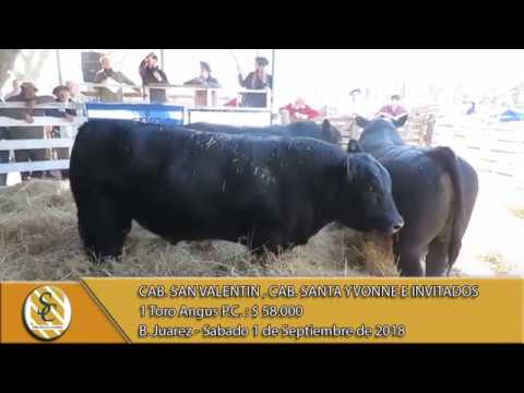 01-09-18 Venta de Toros P.C. - Cab. San Valentin, Santa Yvonne e Invitados - B. Juarez.