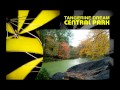 TANGERINE DREAM - Central Park (Unofficial-Video)