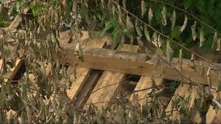 Thieves target Habitat for Humanity home in Cowlitz County