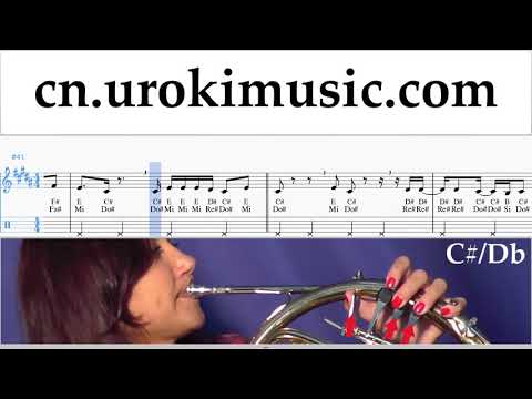 圆号教学 Luis Fonsi, Stefflon Don - Calypso 指法谱 um-ih791