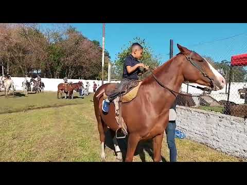Tacuarendi 141 Aniversario .Carrera de sortija