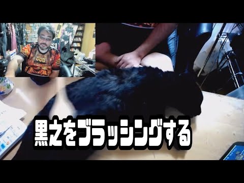 よっさん 黒之」のYahoo!リアルタイム検索 - X（旧Twitter）を