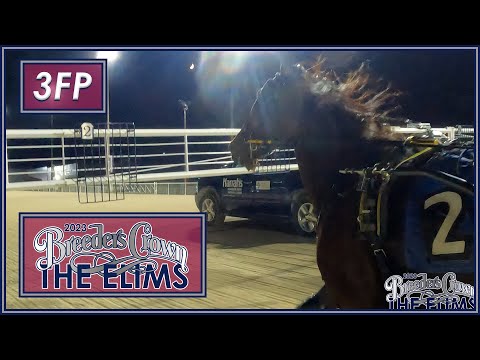2023 Breeders Crown Elims - 3FP