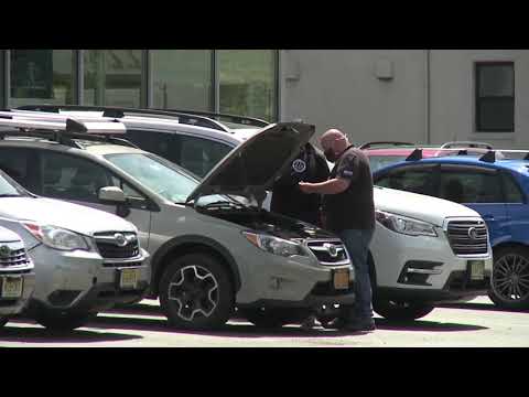 Car Dealerships Open