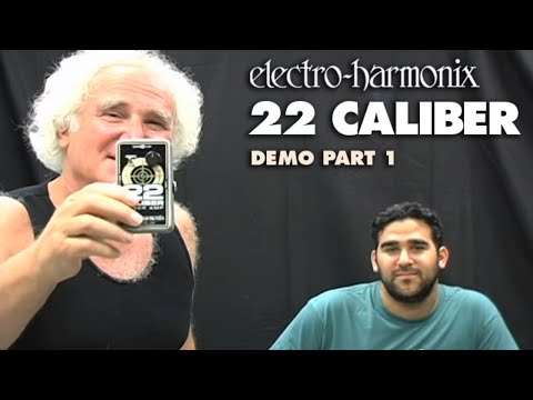 Electro-Harmonix 22 Caliber