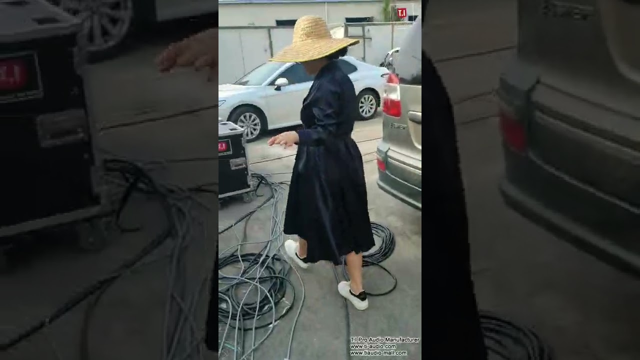 MAX215 MAX218S testing T.I Audio big line array, powerful and clear sound