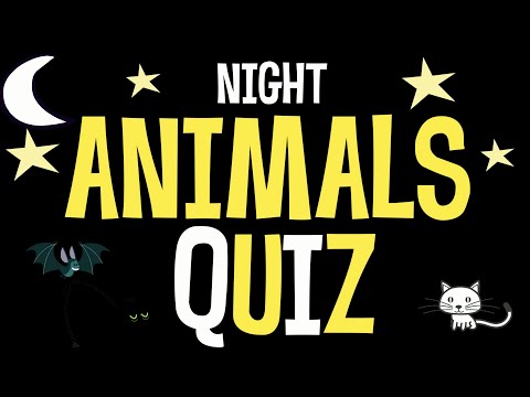 Night Animals Quiz