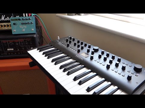 Modal Electronics Argon8 & Strymon Big Sky
