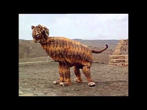 DŻEJPA - BORAM WEED ( prod. @Juan Martin Naborati ) [OFFICIAL VIDEO]