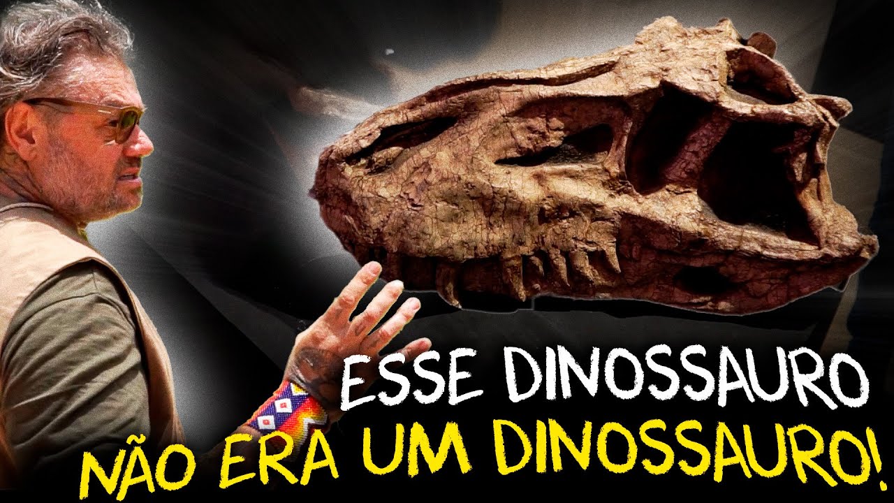 FÓSSEIS E EVOLUÇÃO: A HISTÓRIA DOS DINOSSAUROS COMO VOCÊ NUNCA VIU!