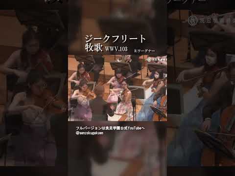 ジークフリート牧歌 WWV.103