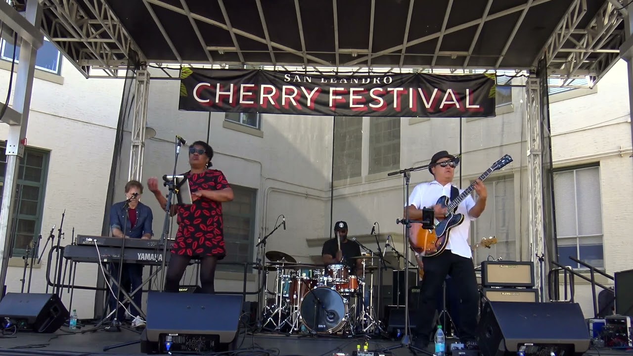 Promotional video thumbnail 3 for Jason Movrich