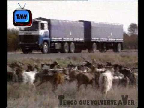 Camión con turbodiesel ,CAMION DE DECRE