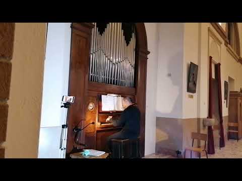 Organ Concert - Soranzen (BL) Italy - Organist: Manuel Tomadin