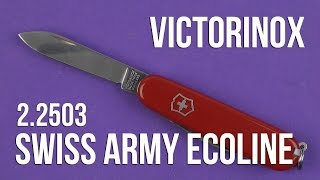 Victorinox Recruit (2.2503) - відео 1