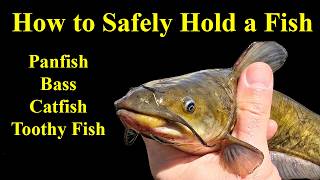 How to Hold a Fish Safely (For You and the Fish)