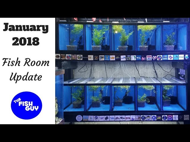 January 2018 Fish Room Update