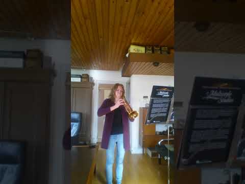 Andante et Allegro- Frits Damrow (auditie)