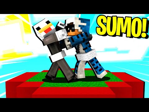 GIOCHIAMO AI MINI GIOCHI DIVERTENTI CON I FAN - MINECRAFT ITA