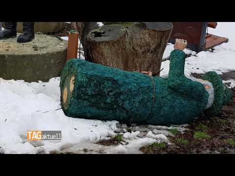 Moosmaa und sein Dach abgesägt