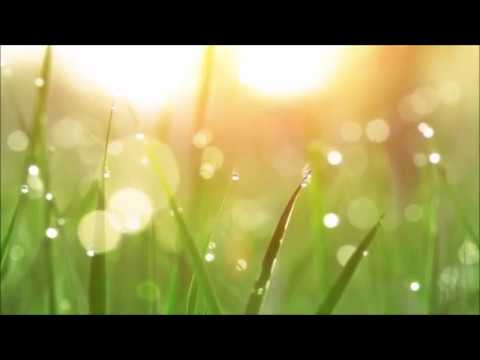 Perto Quero Estar - Márcia Paulo