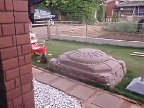 アメリカン・ヘアレス・テリア