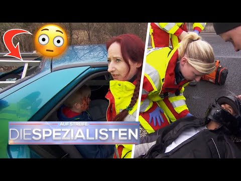 Hunde auf der Autobahn?!😳 Leiter kracht nach Vollbremsung durch Heckscheibe💥|Die Spezialisten| SAT.1