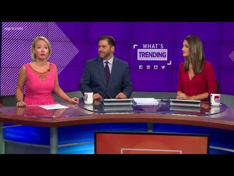 Patrick Hammer As You've Never Seen Him Before