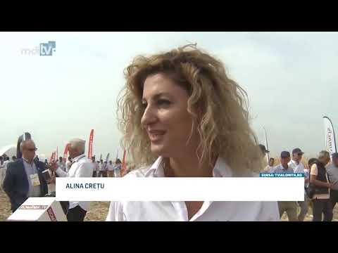 AU PARIAT PE PORUMB DAR PROFITUL NU E CEL ASTEPTAT   YOUTUBE