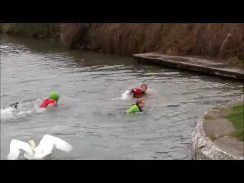 NEVER jump into a canal with a swan