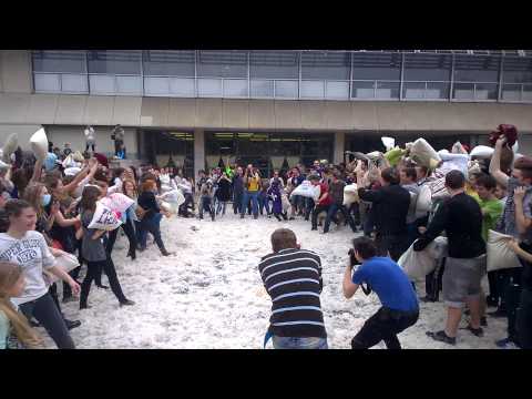 Párnacsata 2014.04.05. Összecsapás (Pillow fight)