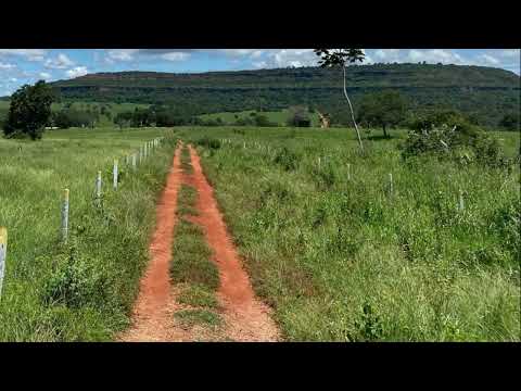 Fazenda de 387 ha em Pontal do Araguaia/MT | 310 ha Formados e Dupla Aptidão!