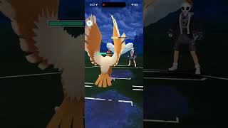 初手ブラフジャンケンを制したので試合も勝った！！【GOバトルリーグなshort】【ポケモンGO】＃ポケモンGO　＃GOバトルリーグ