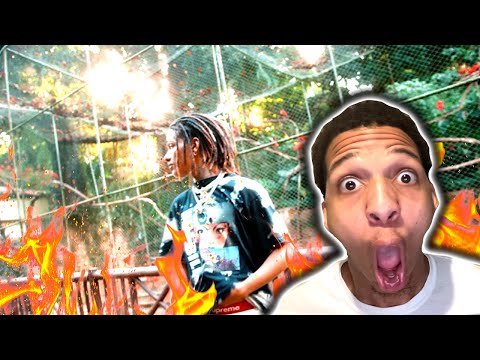 2. Elefante - Brandão85 (REACTION)