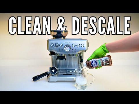 How to Clean and Descale the Breville Barista Express