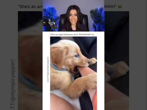 HER BF'S DOG BULLIES HER 😭