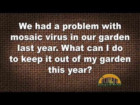 , title : 'T&J – Bagaimana cara mencegah virus mosaik masuk ke kebun kita tahun ini?'