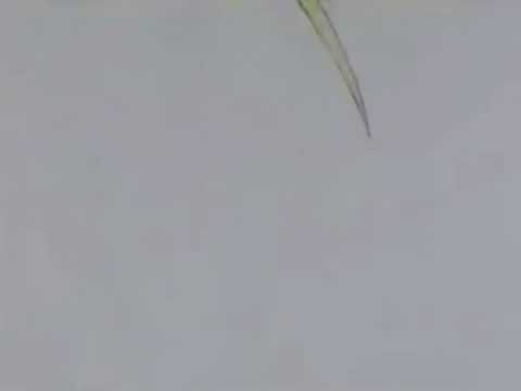 Lovely 🔮 - evil my$tic x Travis Xantana