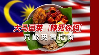 「辣死你妈」入门，这条视频就够了｜Nasi Lemak究极觅食指南（马来西亚国菜）