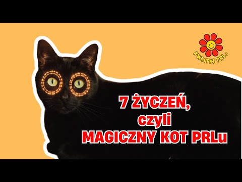 Siedem życzeń, czyli magiczny kot PRLu 
