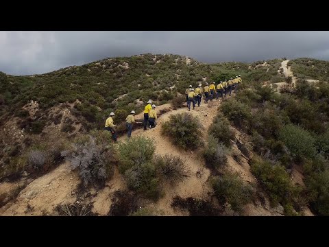 Microsoft Partner - 3AM Innovations