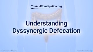 Music video thumbnail preview for Understanding Dyssynergic Defecation by Defecation