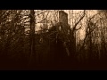 borgne - all these screams through me (2012 ...