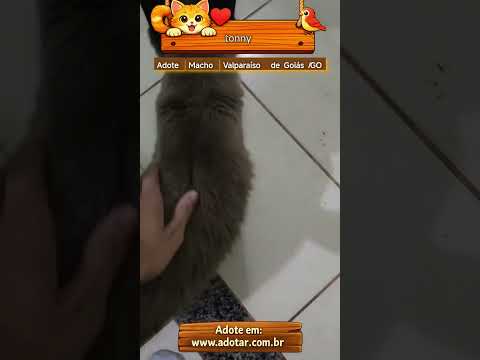 Vídeo de tonny